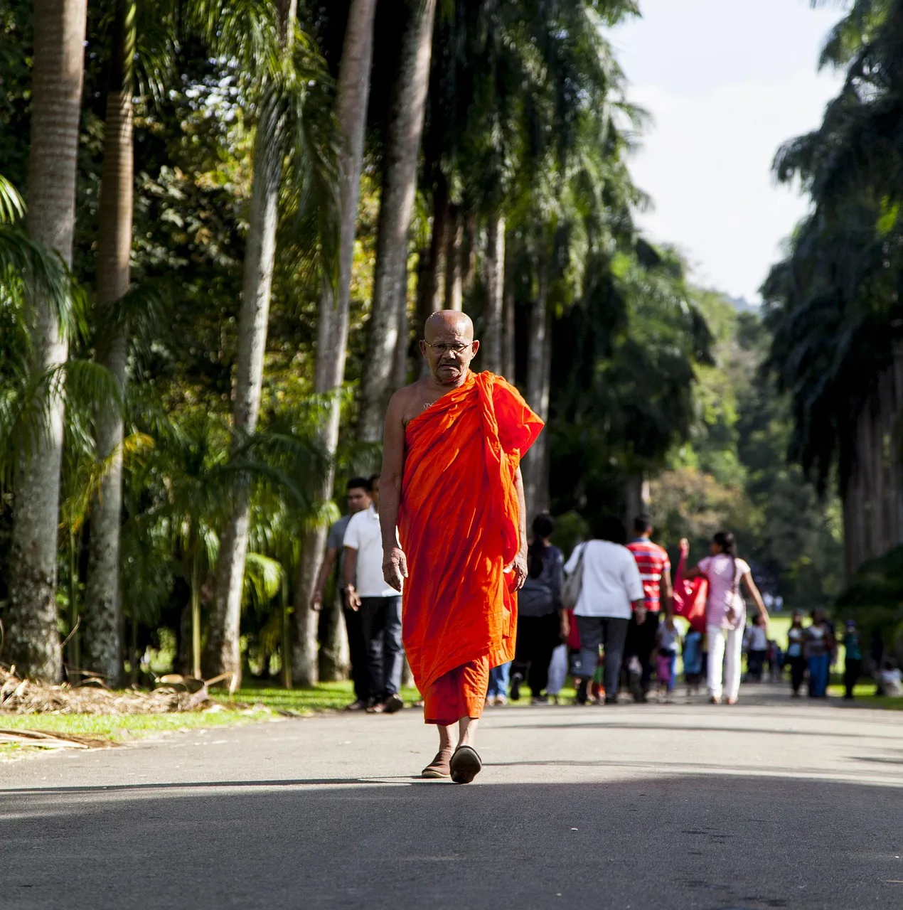 American Buddhist Center brochure